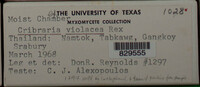 Image Associated With the Occurence